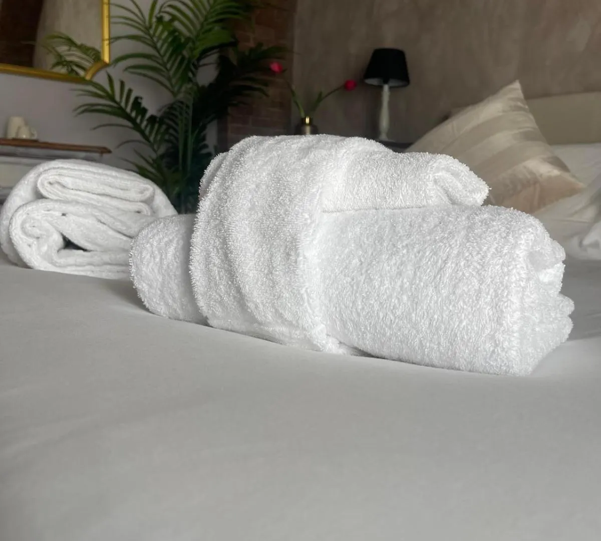 Apartment Lucilla'S Suite San Pietro Station Rome